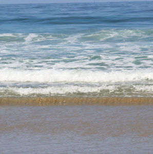 Meet your Posher, Sherry